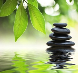 L. Martrenchar - Relaxologue, Professionnel de la relaxation à Paris